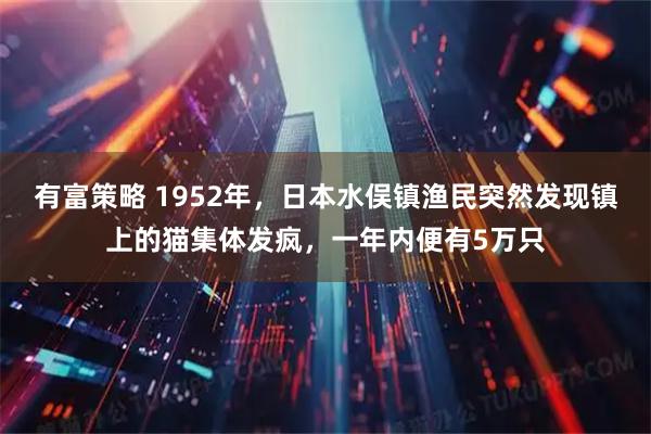 有富策略 1952年，日本水俣镇渔民突然发现镇上的猫集体发疯，一年内便有5万只