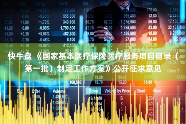 快牛盘 《国家基本医疗保险医疗服务项目目录（第一批）制定工作方案》公开征求意见