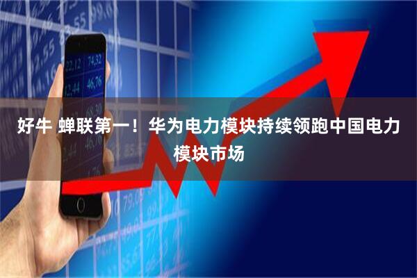 好牛 蝉联第一！华为电力模块持续领跑中国电力模块市场